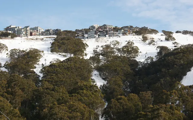 Mt Buller village above the snow-covered forest