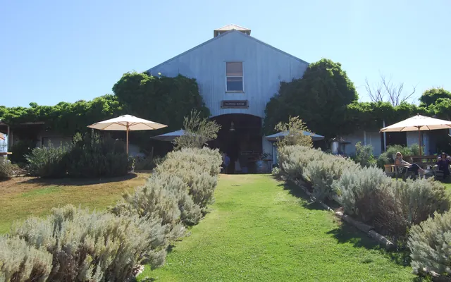 Lavender beds leading to the cellar door at Lowe Wines, Mudgee