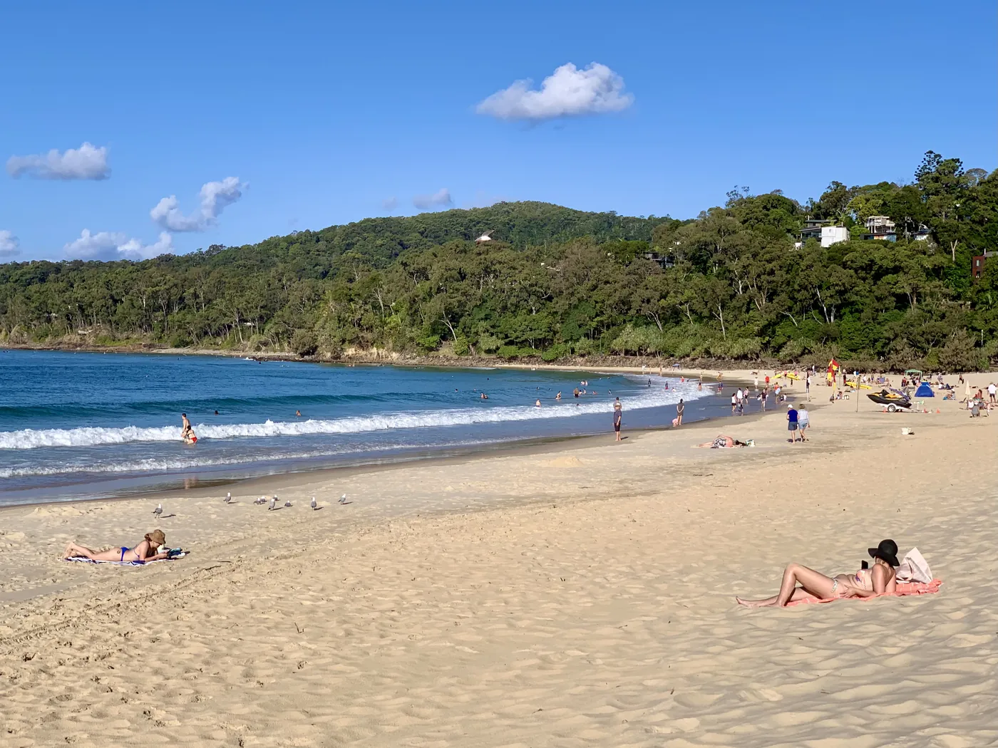 Noosa Main Beach and the headland of Noosa National Park
