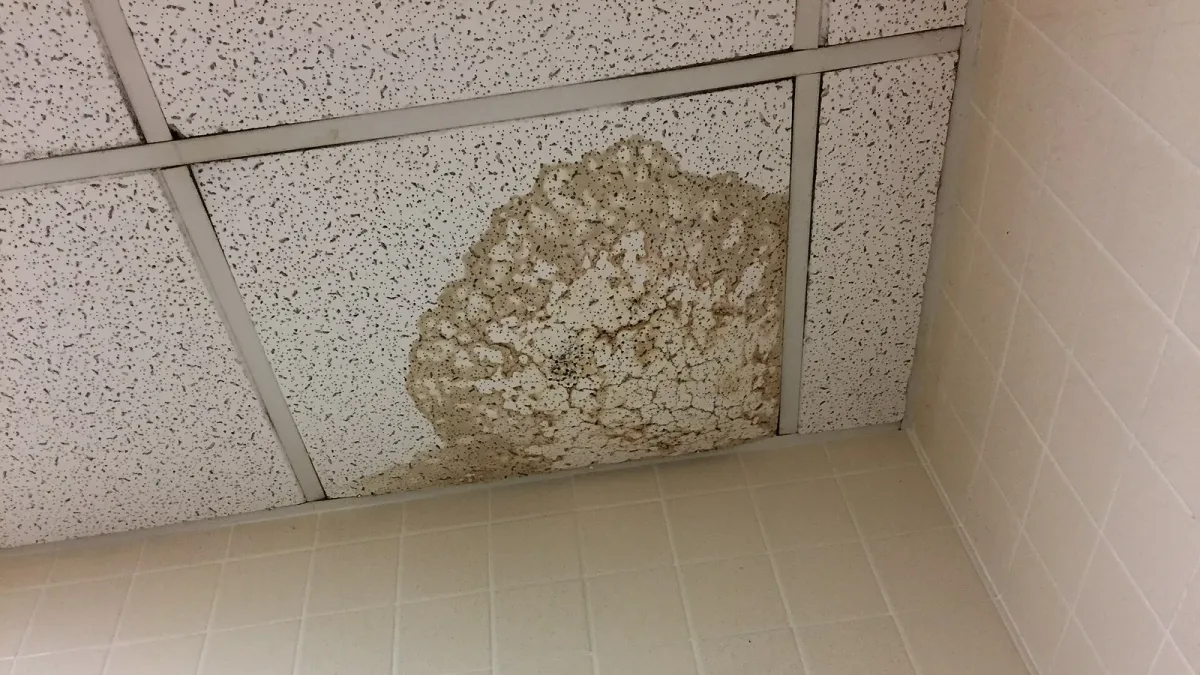 Water damage spreading across a ceiling