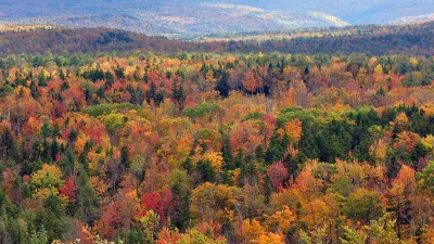 Sweeping view of Vermont fall foliage in reds, oranges, and golds from Hogback Mountain