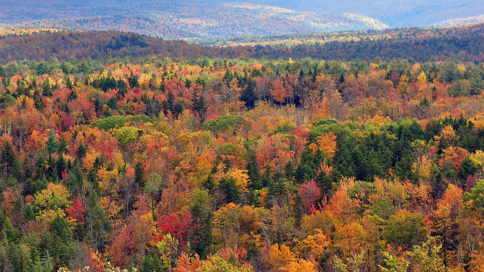 Sweeping view of Vermont fall foliage in reds, oranges, and golds from Hogback Mountain