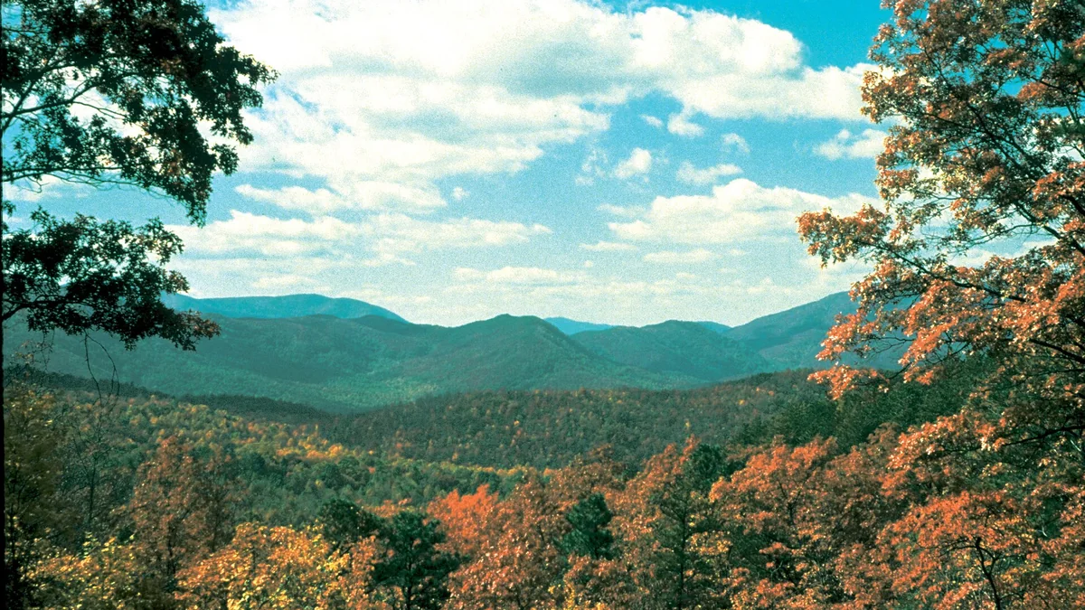 Autumn color across the ridges of the Great Smoky Mountains, seen from Heintooga Ridge Road