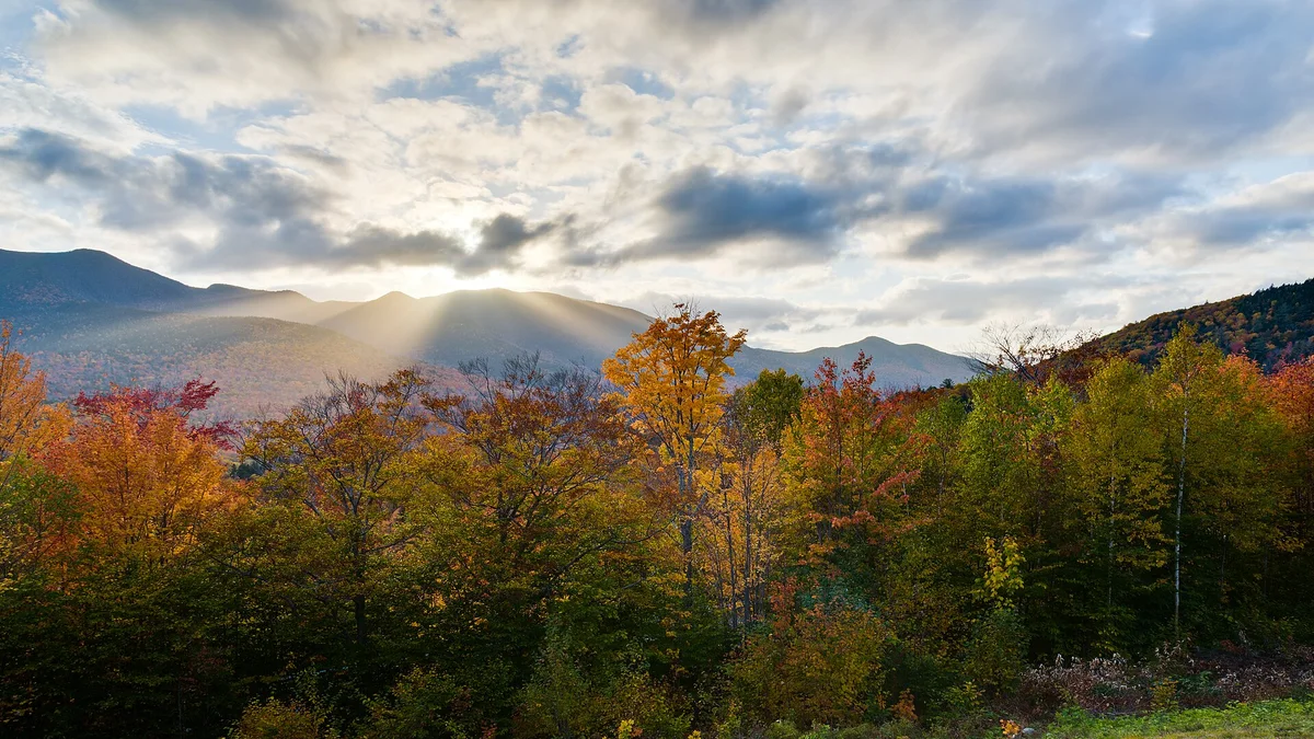 The Kancamagus Highway in New Hampshire's White Mountains curving through peak October foliage
