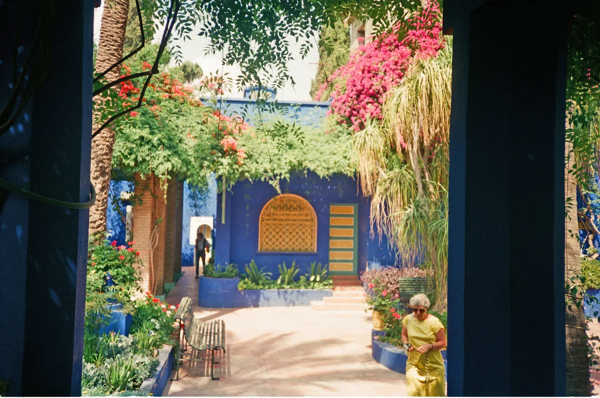 A cobalt blue building with an arched doorway seen through a frame of pink bougainvillea and green plants