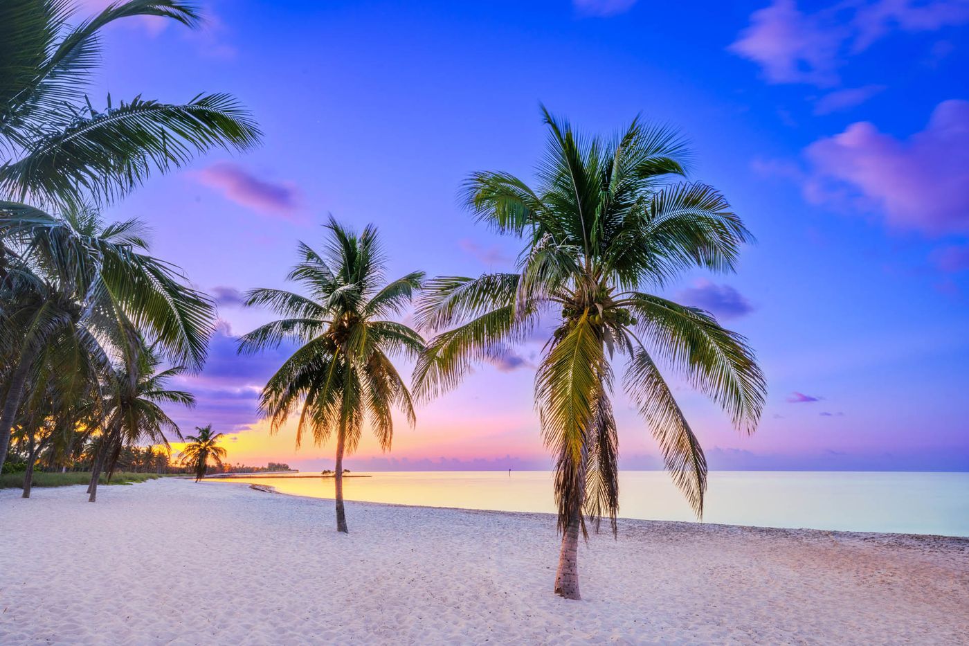 Colocada Vacation Rentals — Key West, Florida, photo 8