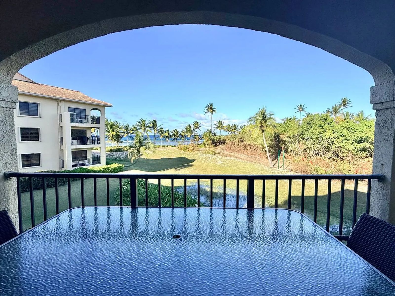 Sunset Oasis — the view from the balcony toward the palms