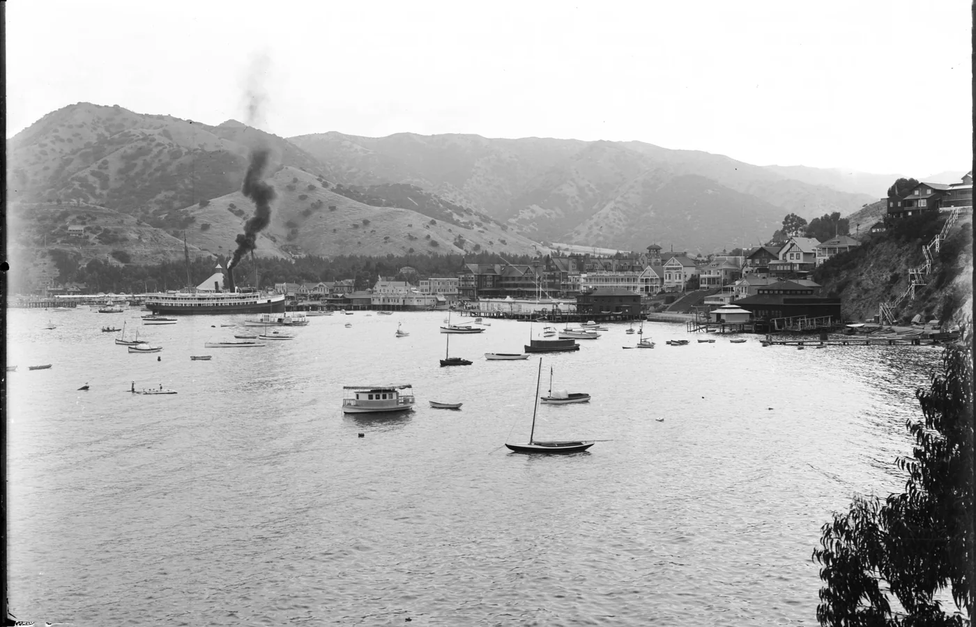 View of Avalon harbor on Santa Catalina Island around 1910, seen from Sugar Loaf