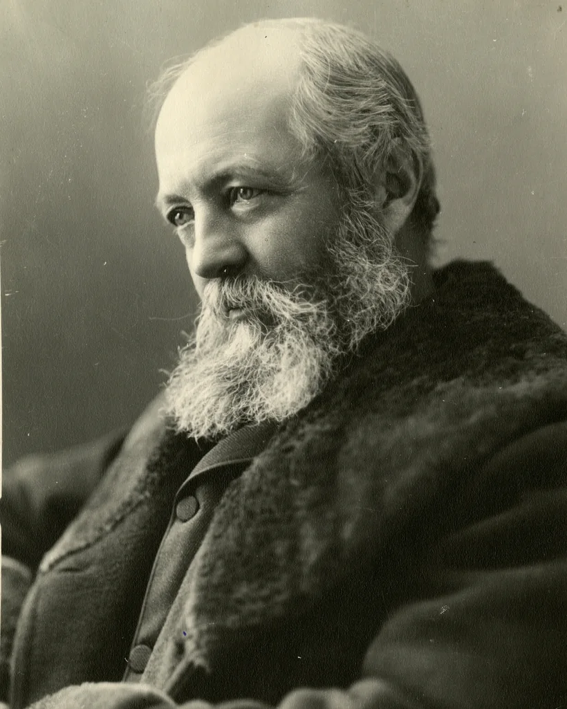 Frederick Law Olmsted, who campaigned to free Niagara Falls and designed the state reservation landscape with Calvert Vaux