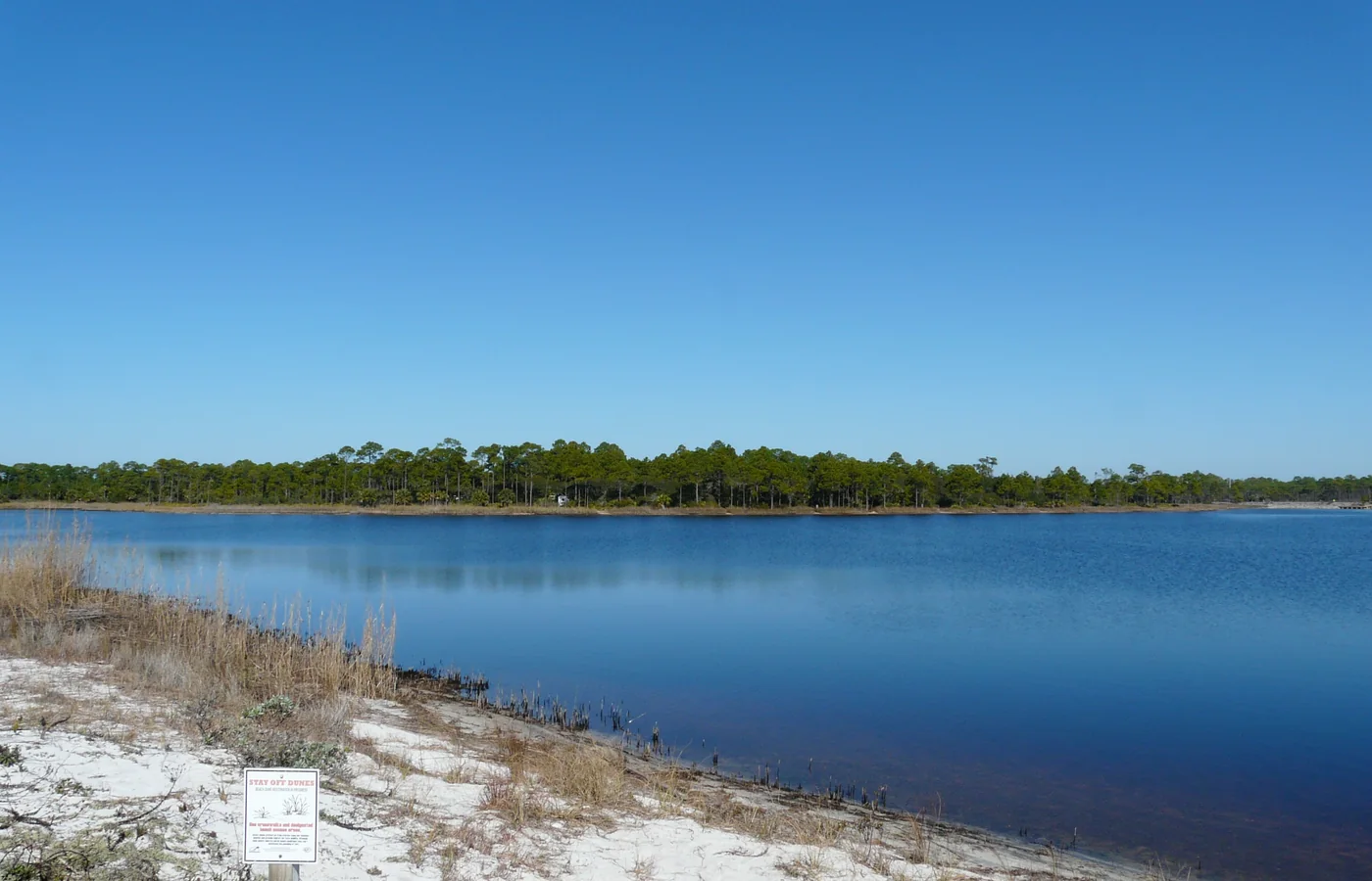 A coastal dune lake at Grayton Beach State Park on Scenic 30A in Walton County, Florida