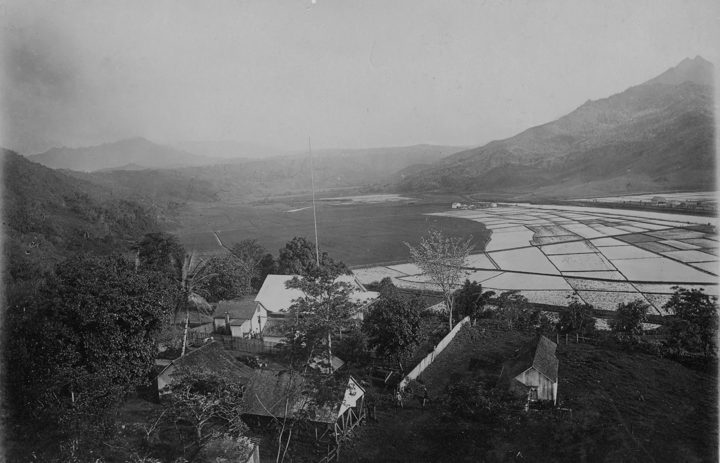 Taro fields covering the Hanalei Valley floor on Kauai, farmland protected inside the Hanalei National Wildlife Refuge since 1972