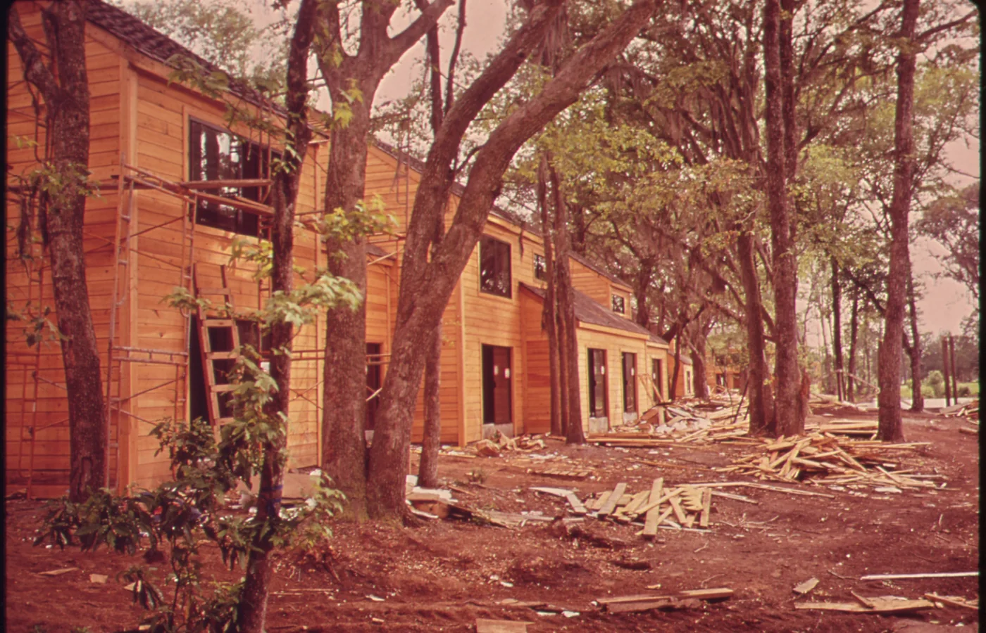 Housing construction under the tree canopy at Sea Pines on Hilton Head Island in the early 1970s