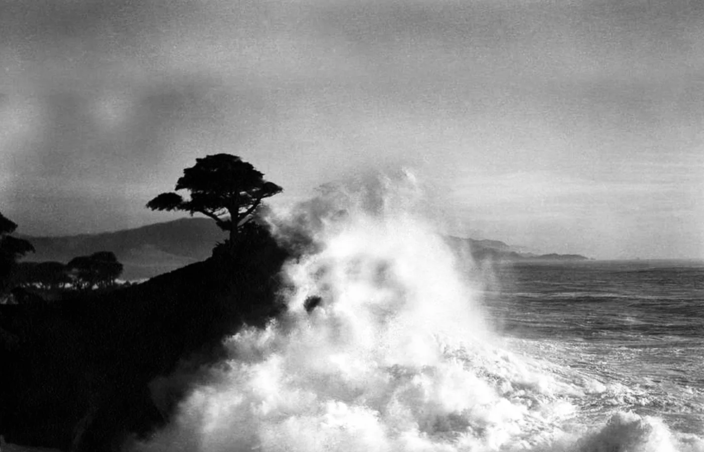 The Lone Cypress on 17-Mile Drive at Pebble Beach, a landmark shown to Hotel Del Monte guests since the 1880s