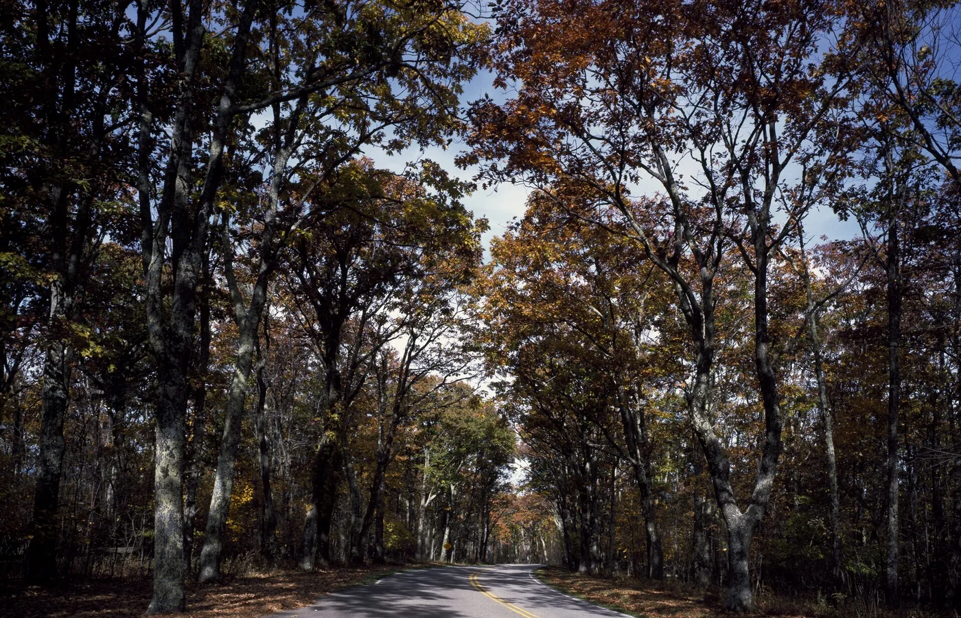 A stretch of Skyline Drive in Shenandoah National Park, Virginia