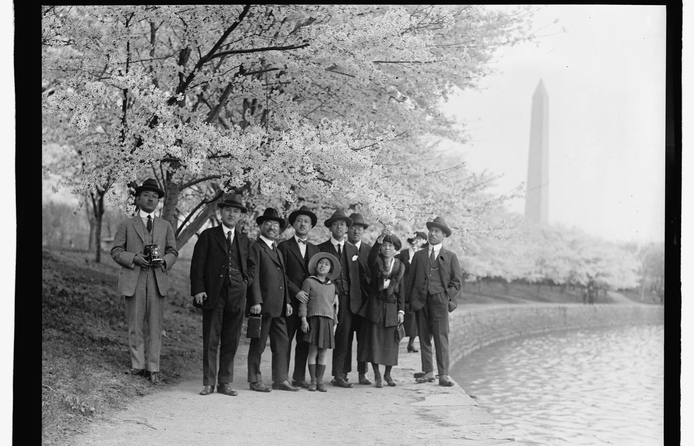 The Japanese cherry trees in bloom in Washington, D.C., photographed by the National Photo Company in the 1920s