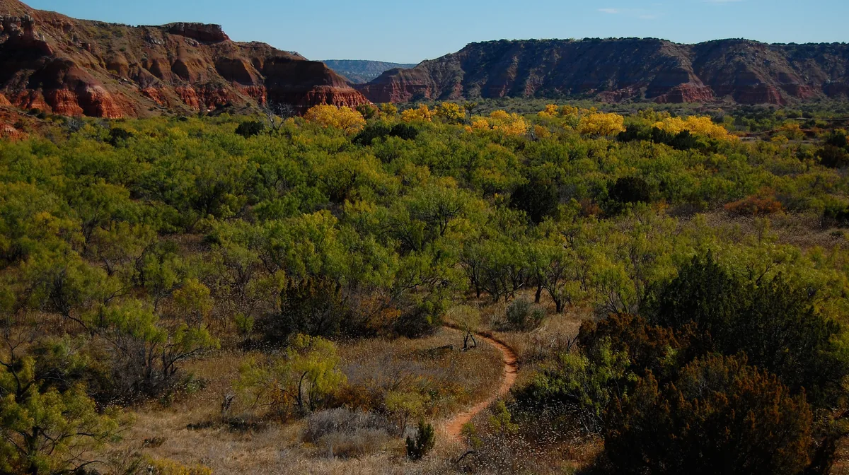 A trail through the mesquite of Palo Duro Canyon below its red rock walls, Texas