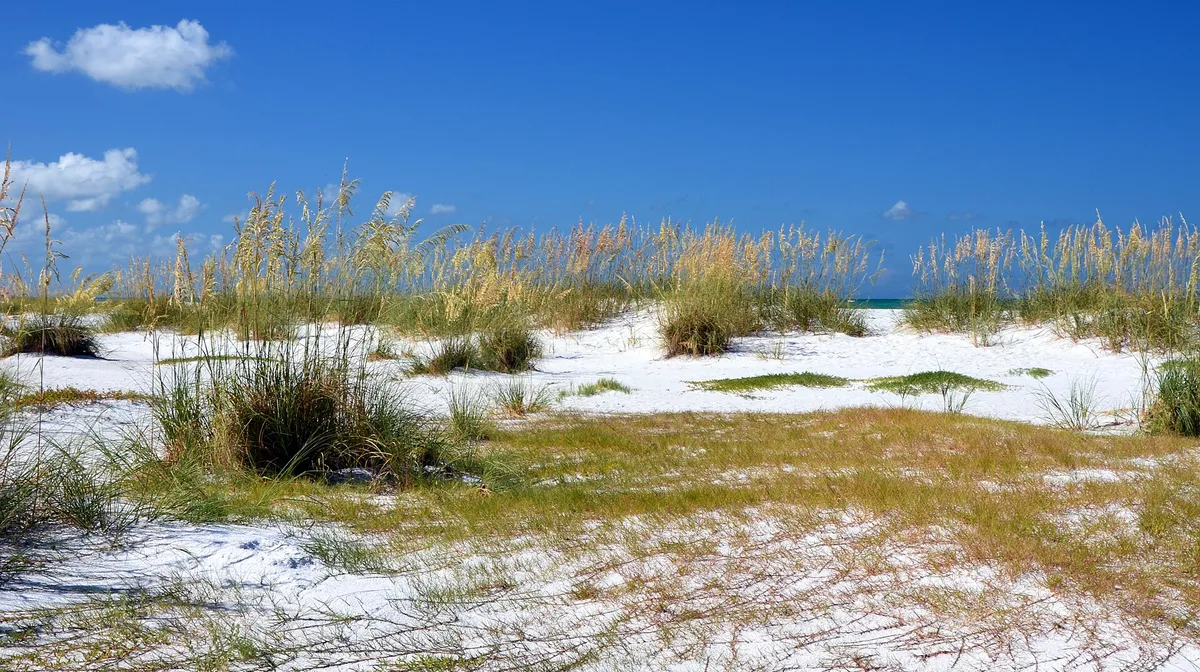 Airbnb marketing services in Anna Maria Island, Florida, USA