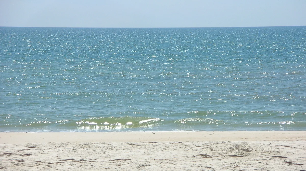 Airbnb marketing services in Apalachicola, Florida, USA