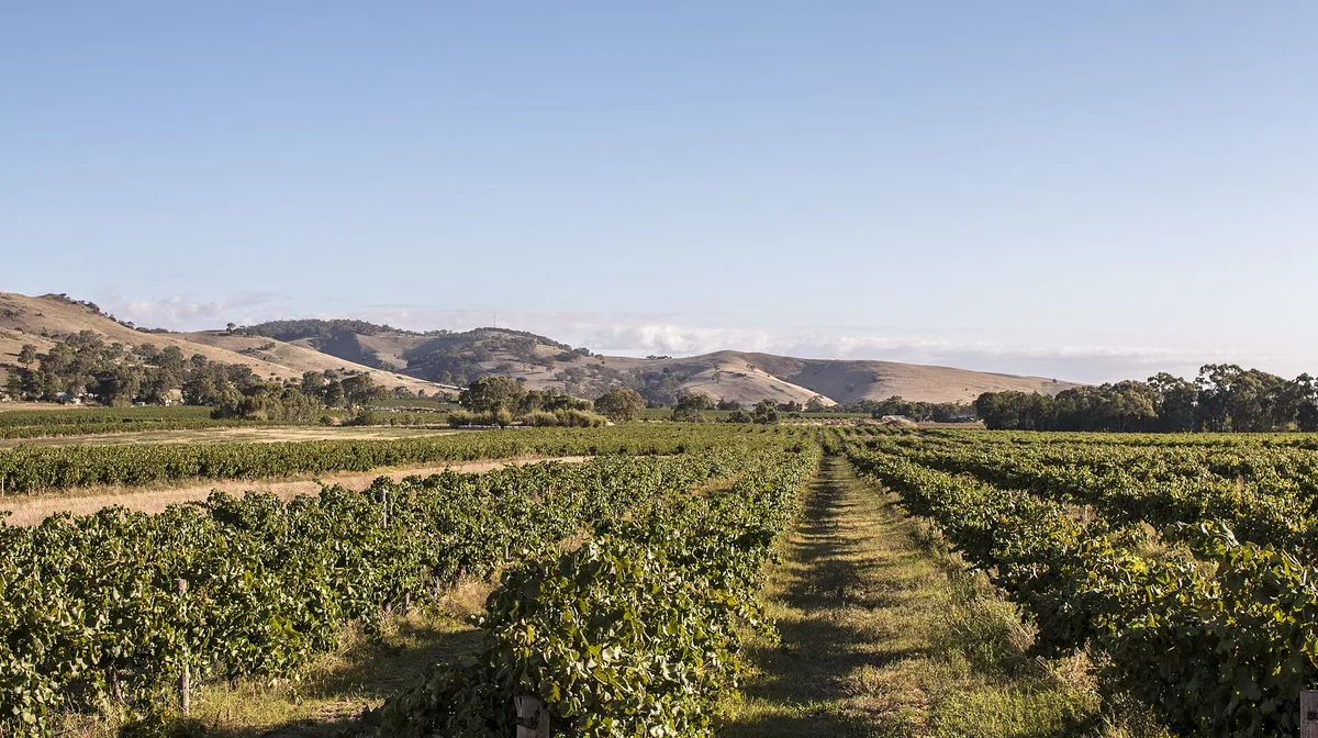Airbnb marketing services in Barossa Valley, SA, Australia