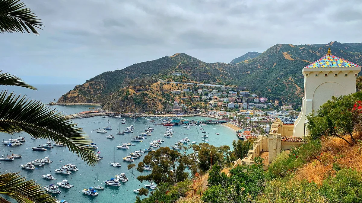 Airbnb marketing services in Catalina Island, California, USA