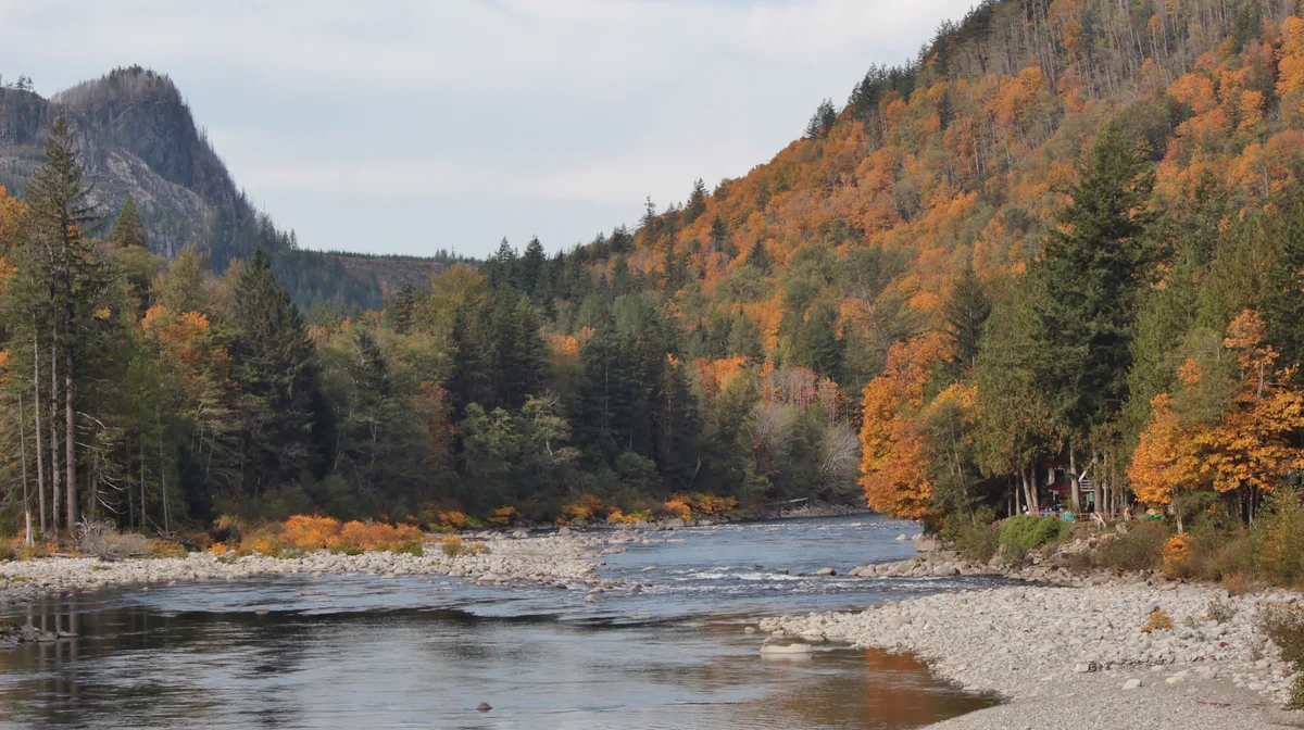 The North Fork Skykomish River in autumn near Index, Washington, seen from US Highway 2