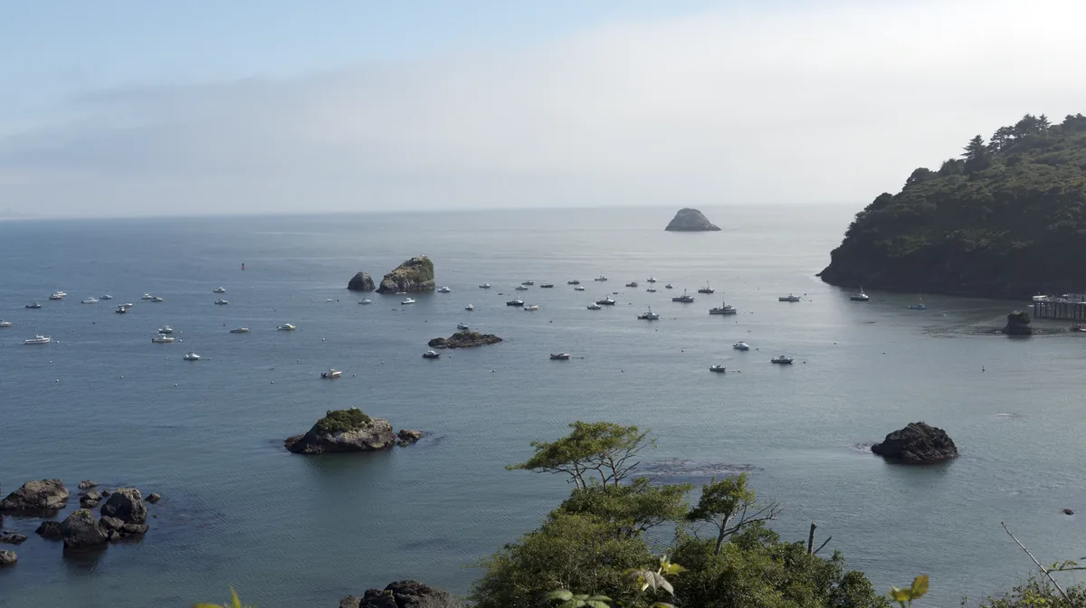 Boats at their moorings among the sea stacks of the bay at Trinidad, Humboldt County, California