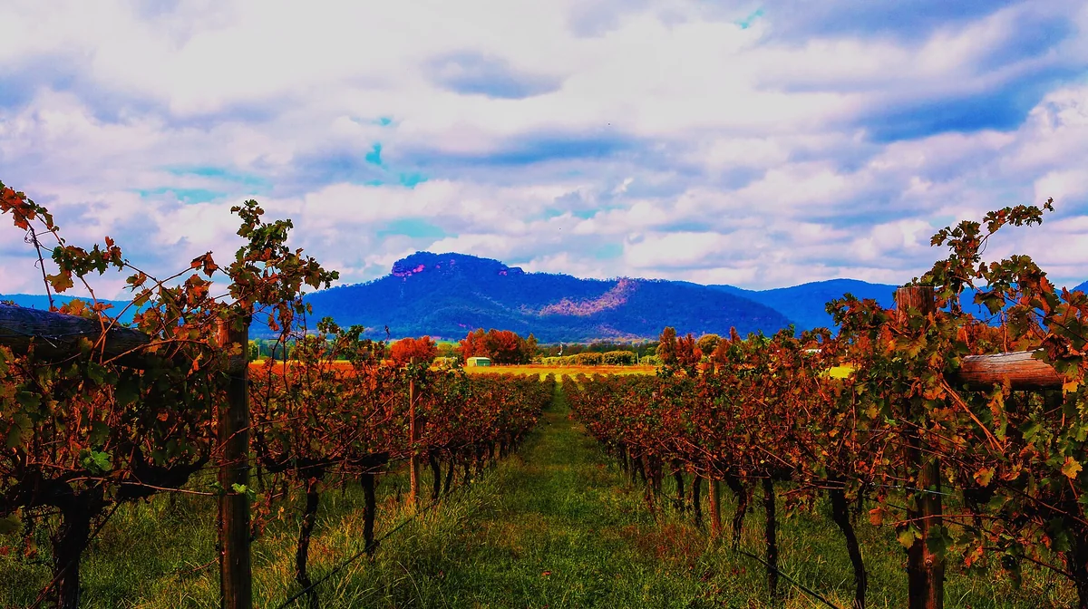 Airbnb marketing in Hunter Valley