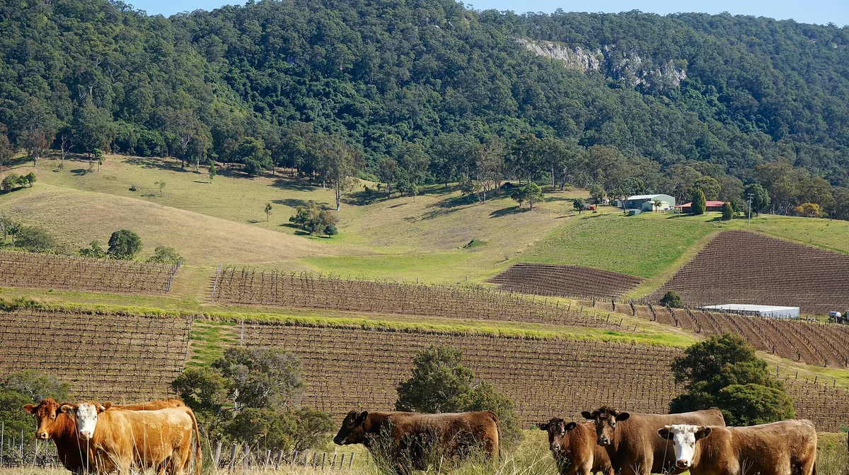 Airbnb marketing services in Hunter Valley, NSW, Australia