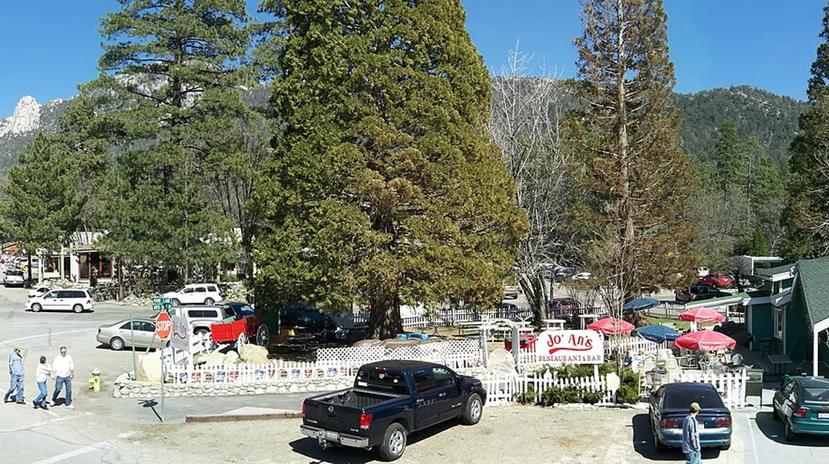 Airbnb marketing services in Idyllwild, California, USA