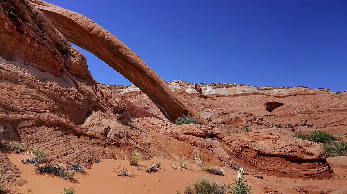 Airbnb marketing services in Kanab, Utah, USA
