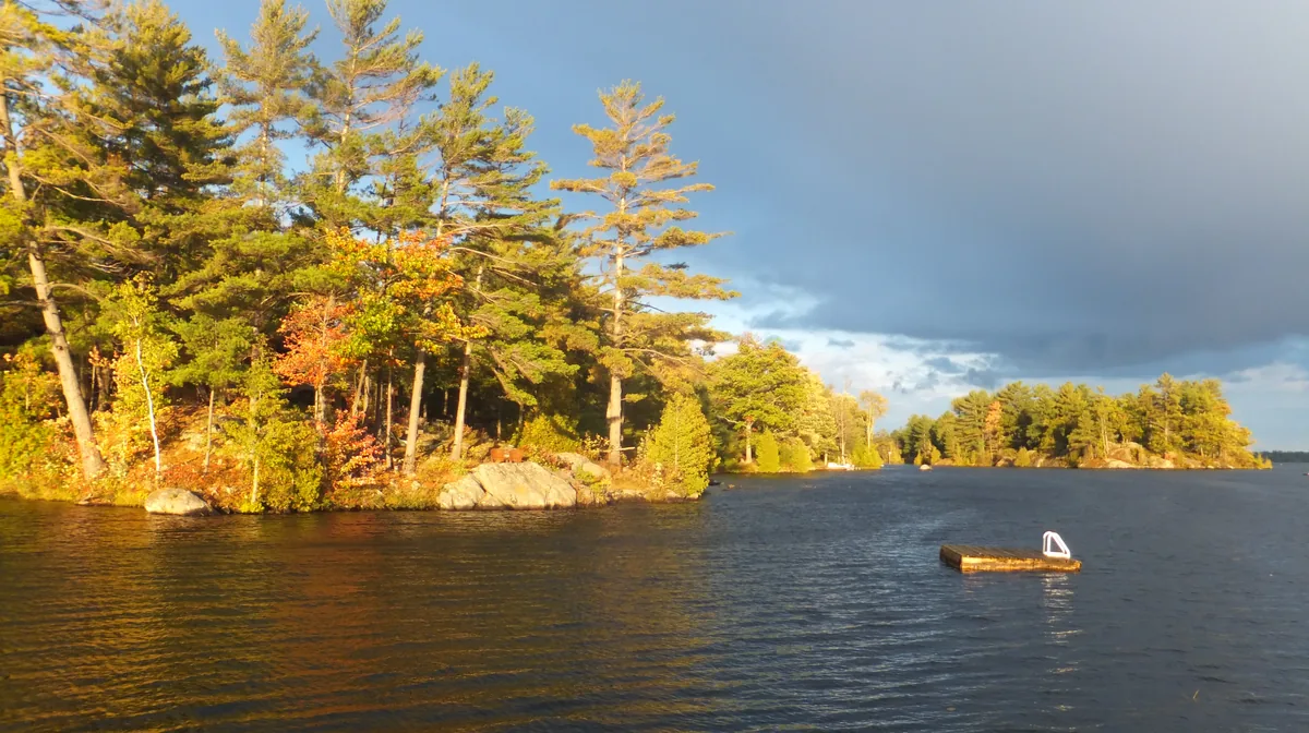 Pines on a granite island in October light on Lower Buckhorn Lake in the Kawarthas, Ontario