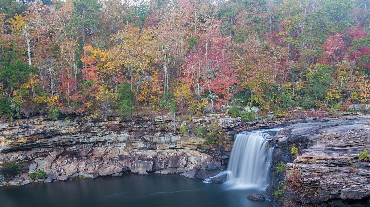 Airbnb marketing services in Mentone, Alabama, USA