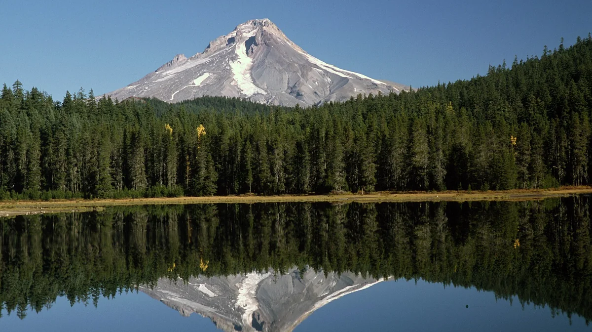 Airbnb marketing in Mount Hood
