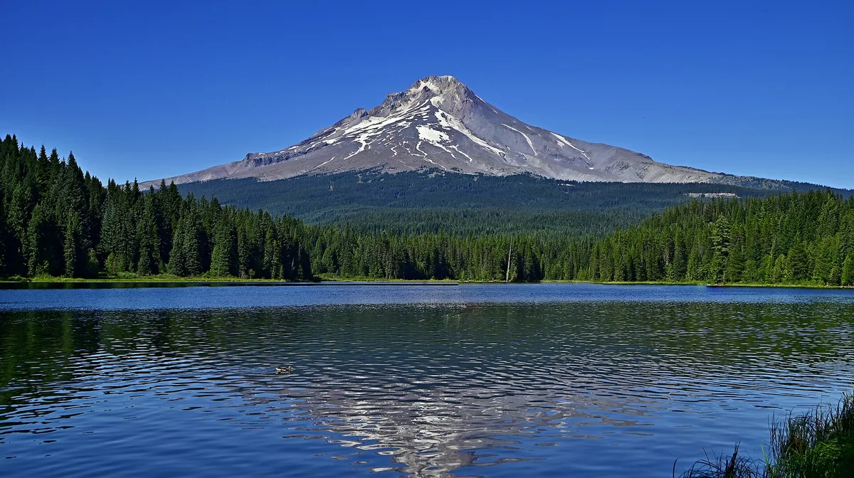 Airbnb marketing services in Mount Hood, Oregon, USA