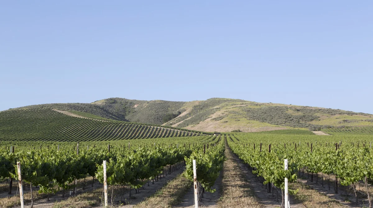 Airbnb marketing services in Paso Robles, California, USA