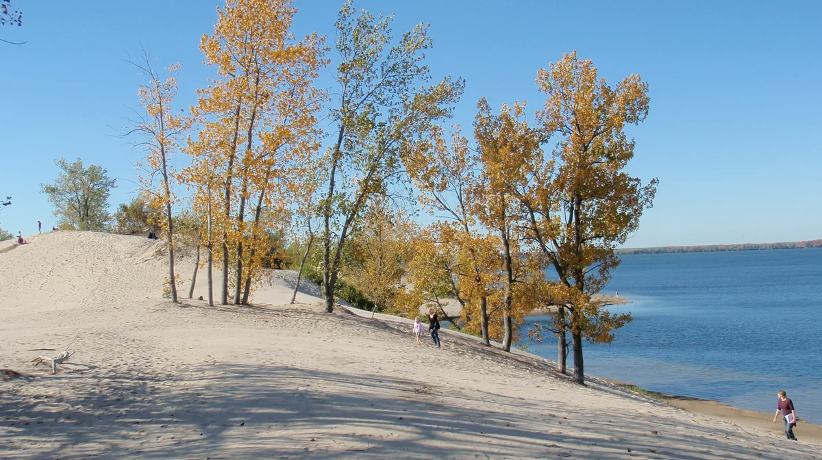 Autumn trees on the sand dunes above Lake Ontario at Sandbanks Provincial Park, Prince Edward County, Ontario