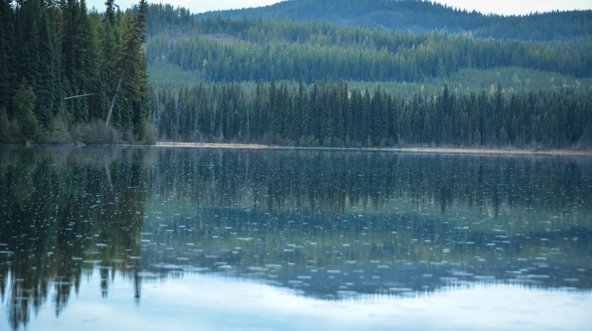 Nancy Greene Lake reflecting the forest in Nancy Greene Provincial Park, north of Rossland, British Columbia