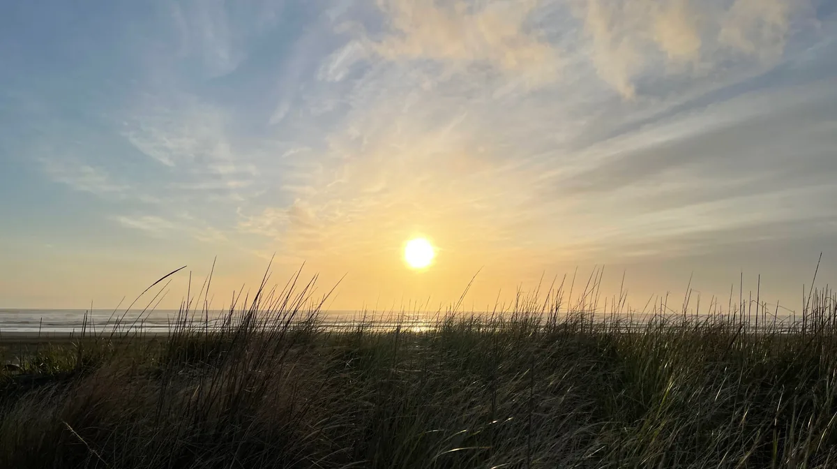 Sunset over the dune grass and the Pacific at Ocean Shores, Washington