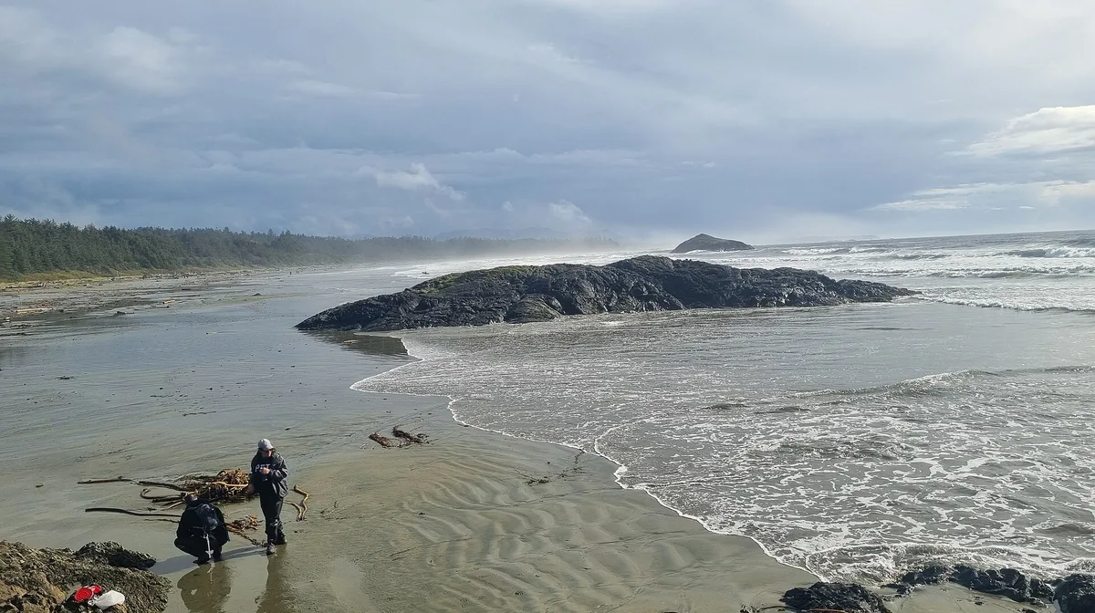Airbnb marketing services in Tofino, British Columbia, Canada