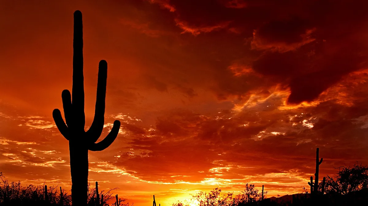 Airbnb marketing services in Tucson, Arizona, USA
