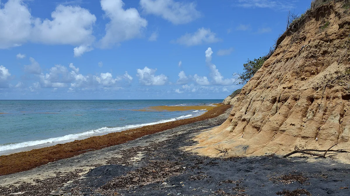 Airbnb marketing services in Vieques, Puerto Rico, USA