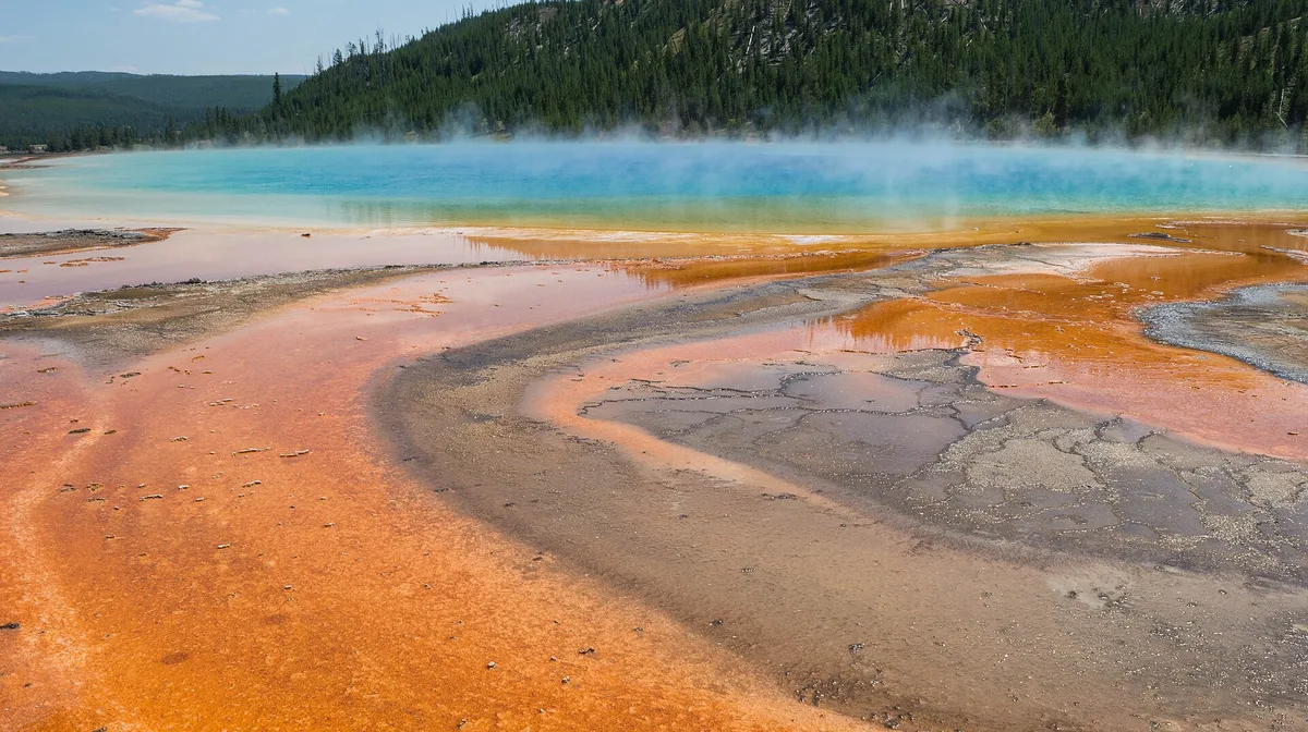 Airbnb marketing services in West Yellowstone, Montana, USA