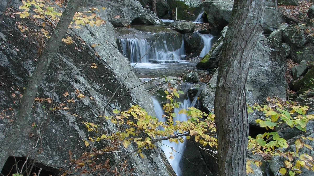Airbnb marketing services in Wintergreen, Virginia, USA