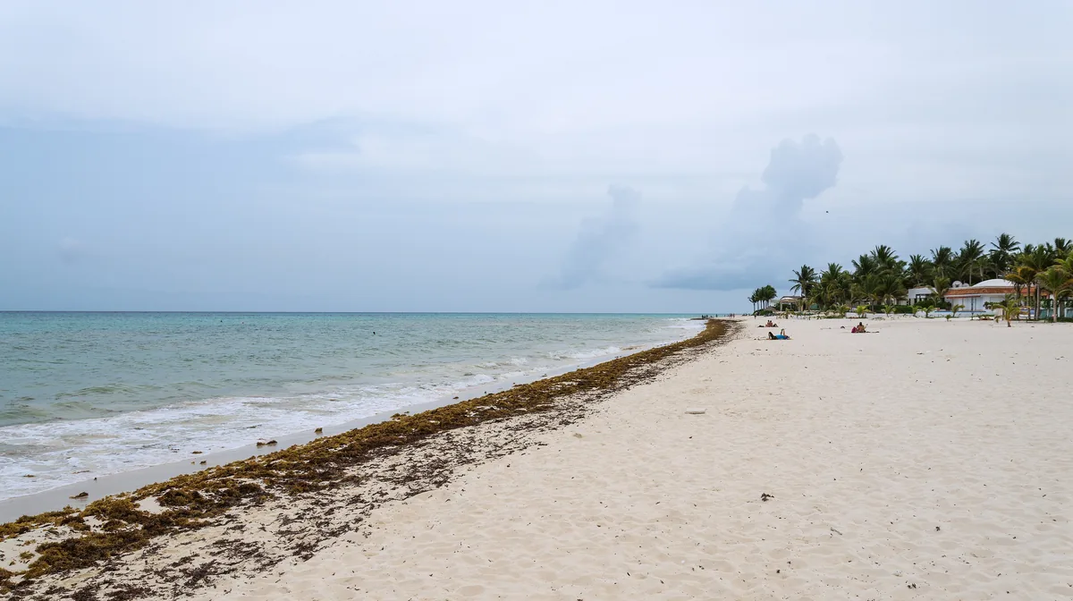 Airbnb marketing services in Playa del Carmen, Playa del Carmen, Quintana Roo, Mexico, Caribbean