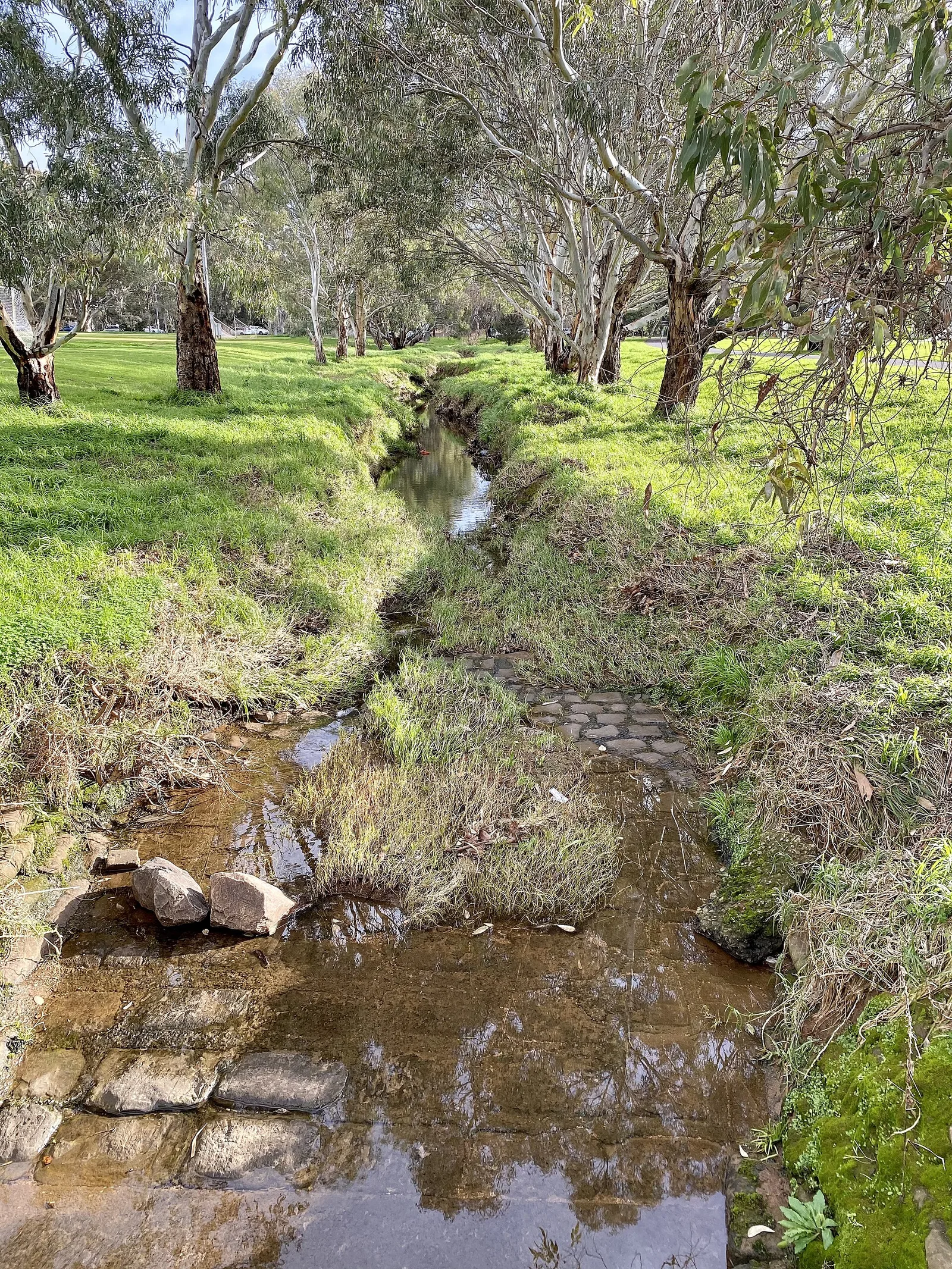 South Parklands of Adelaide — Adelaide airbnb marketing