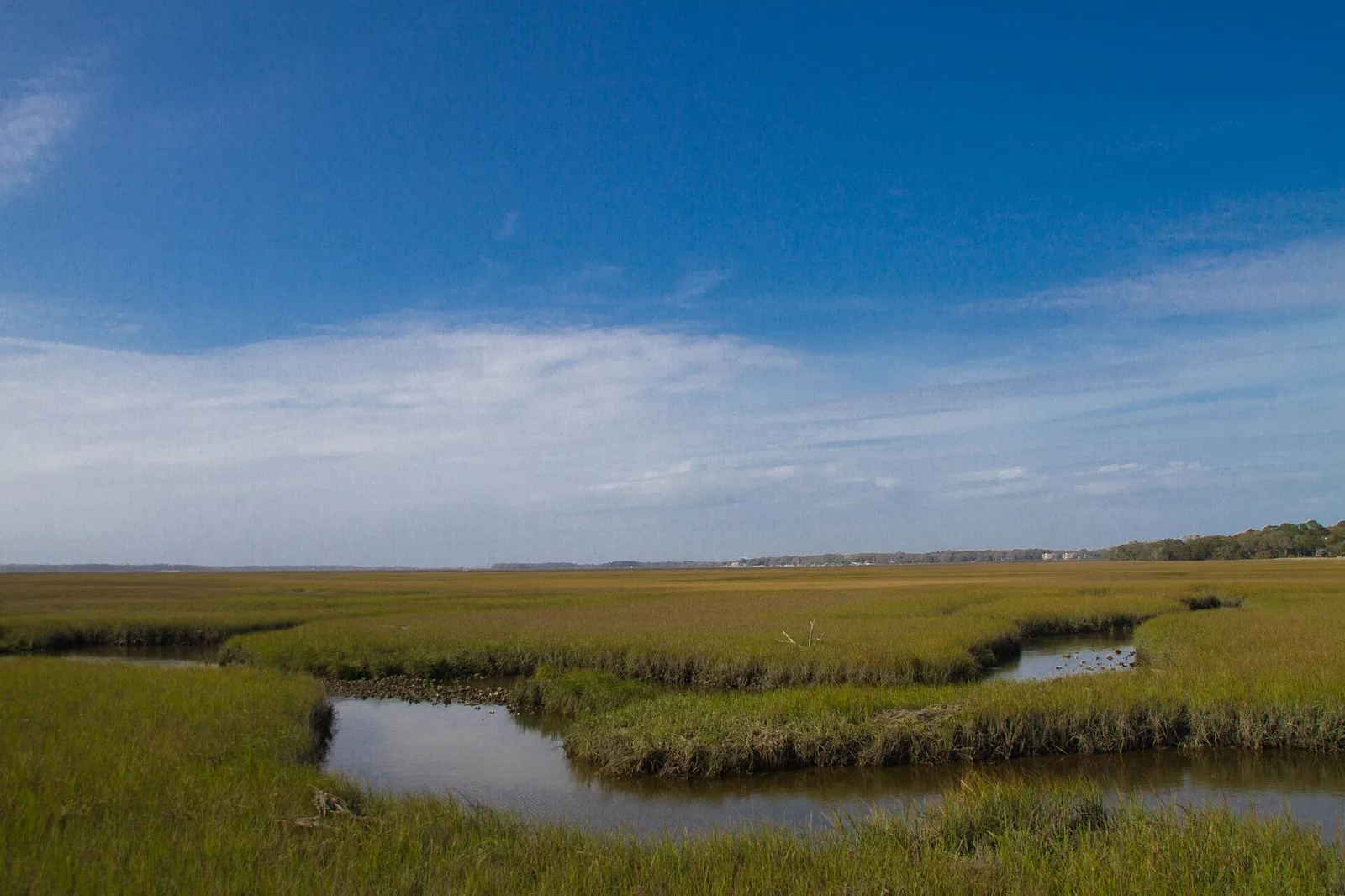 Amelia Island Marshes — Amelia Island airbnb marketing