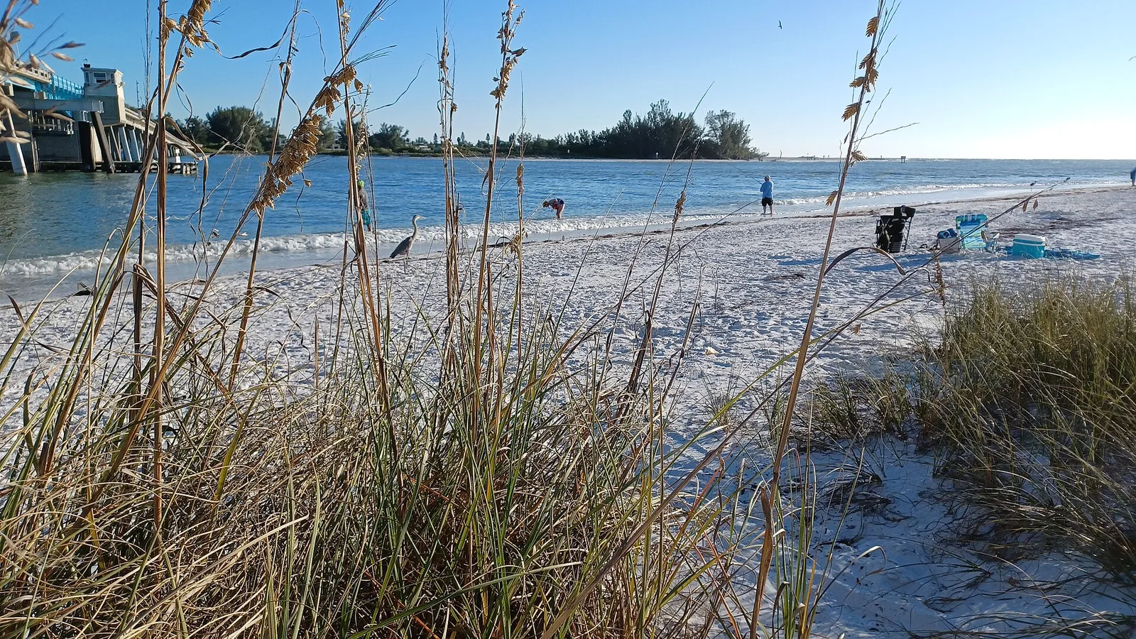Late afternoon on Coquina Beach — Anna Maria Island airbnb marketing