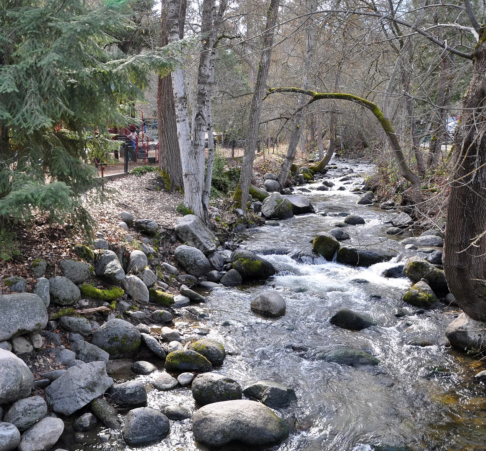 Ashland Creek — Ashland airbnb marketing