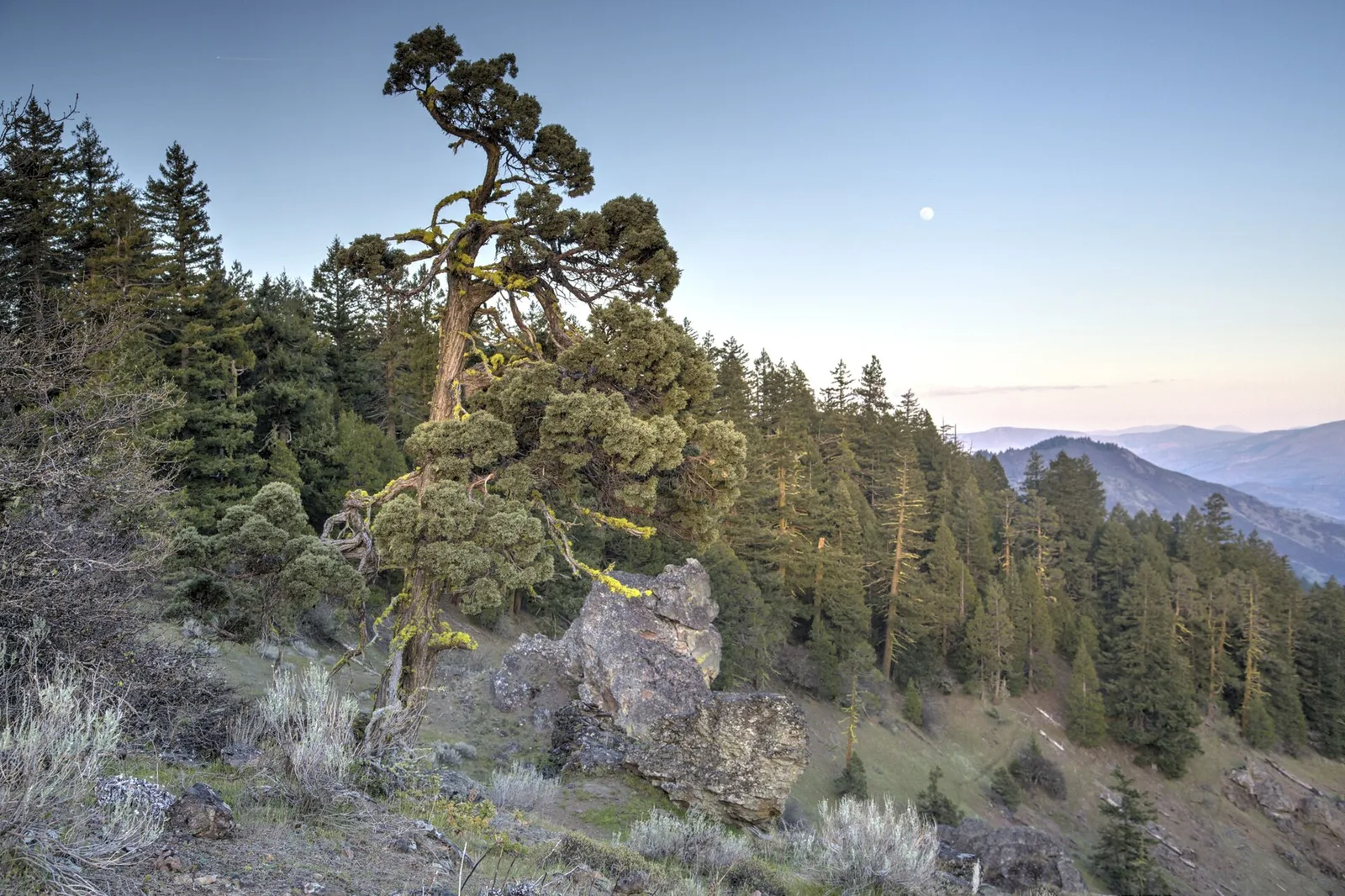 Views from Cascade Siskiyou National Monument — Ashland airbnb marketing