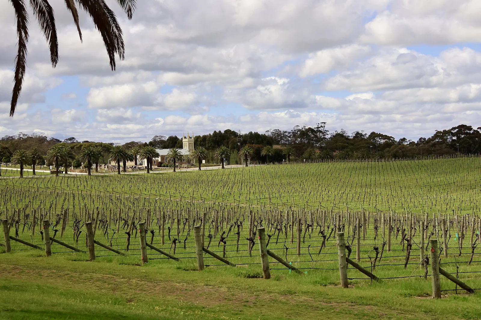 Seppeltsfield, Adelaide on 28 September 2025 03 — Barossa Valley airbnb marketing